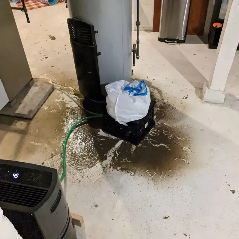 Sewage Backup Cleanup Service in Carney, MD